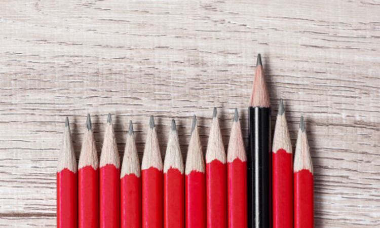 Black Pencil Different From Crowd Red Pencils Unique Leader Strategy Independence Think Different Business Success 42256 1706