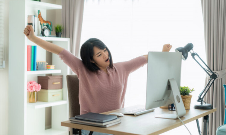 Lazy Work From Home 
