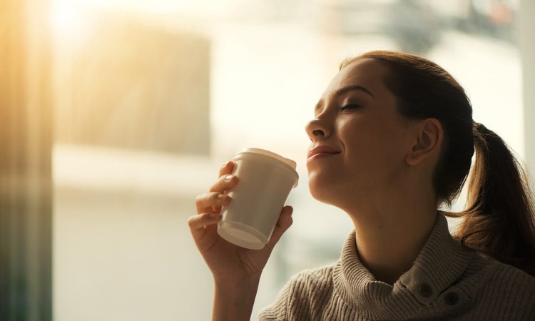 Happy Workplace - MyWorld Careers