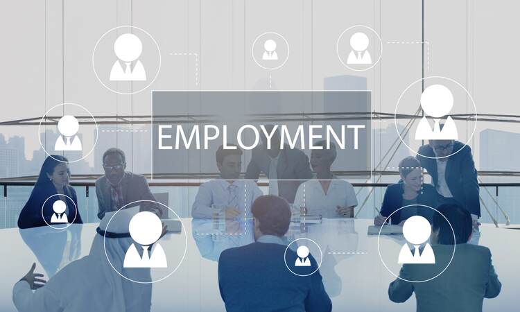 Employment